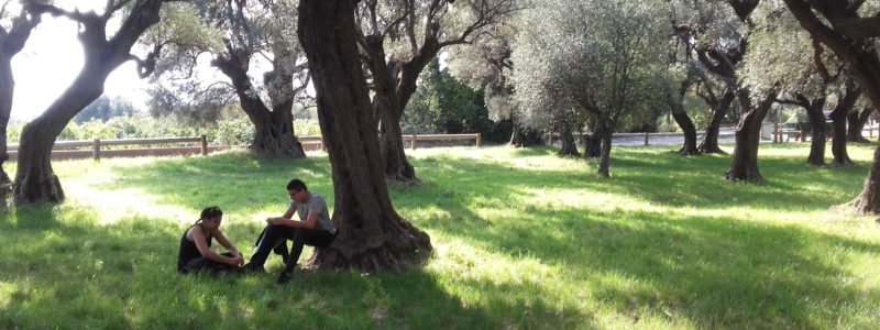 Photo MECS Esquineto - SAVA Photo MECS Esquineto - SAVA