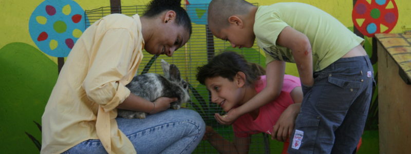 Photo - VM Photo - VM